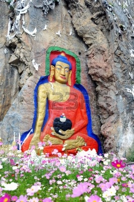 Wisdom Story