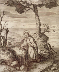 Saint Francis Xavier in the East4