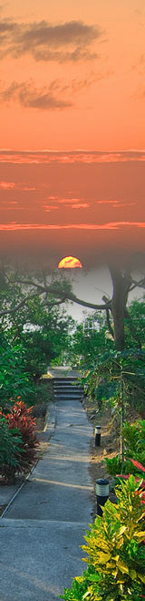 Xavier House香港思維靜院