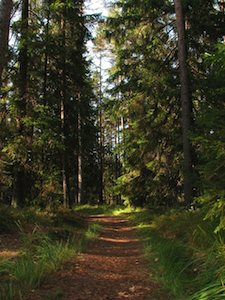 Wisdom Story – 70