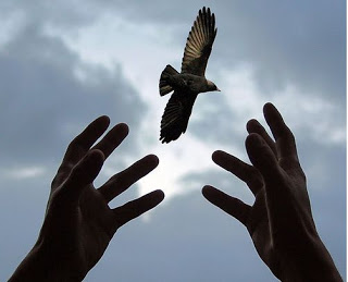 freedom