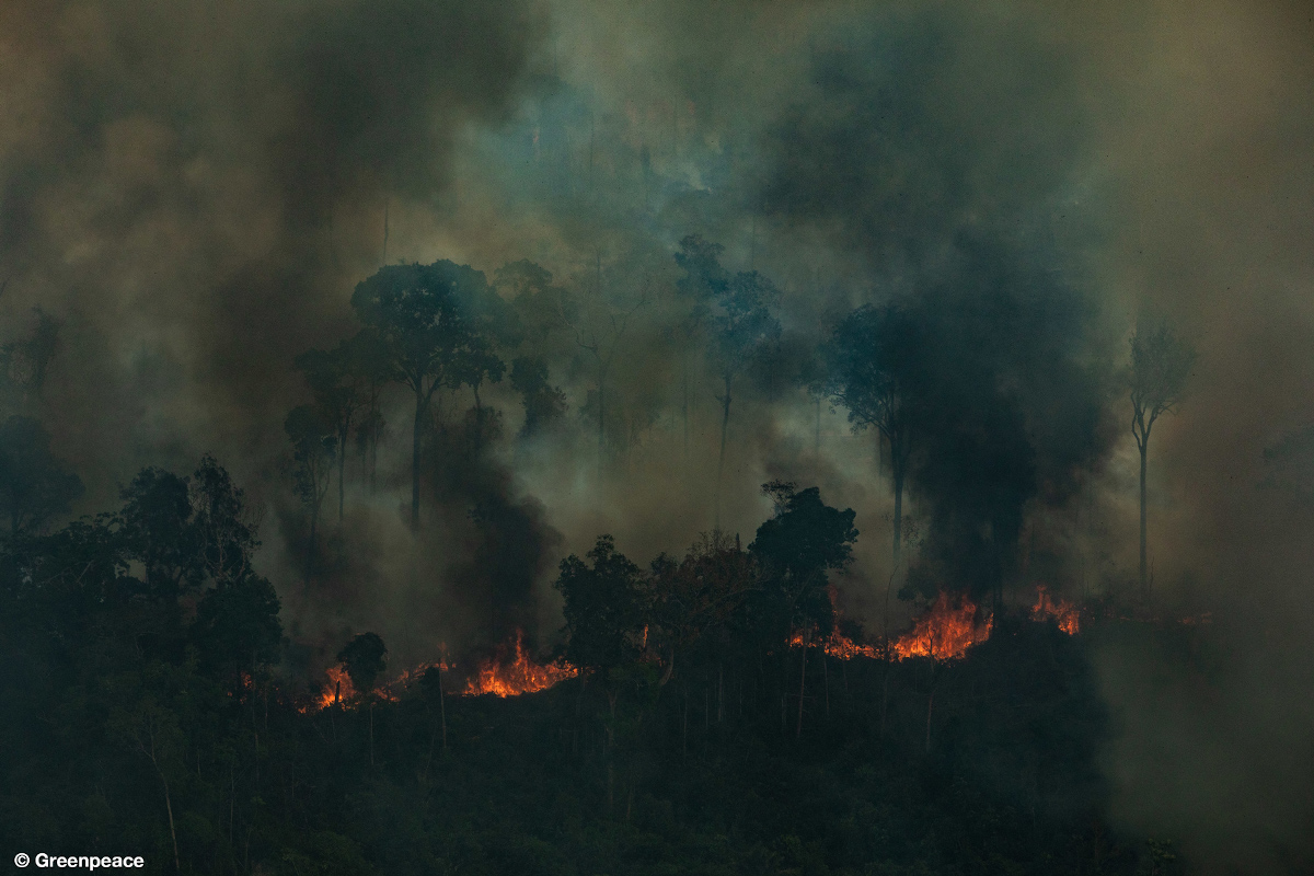 Aerial view of a large burned area in the city of Candeiras do Jamari in the state of Rondônia. Image by Victor Moriyama/Greenpeace
