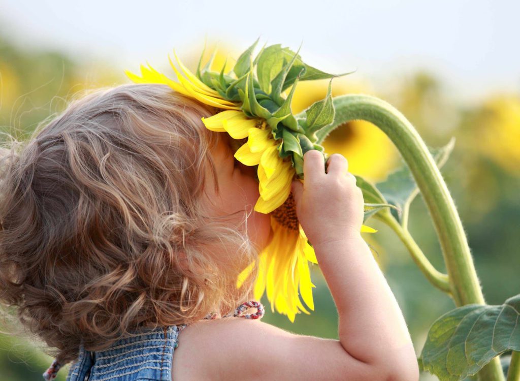 Fotoliagirl_smelling_sunflower