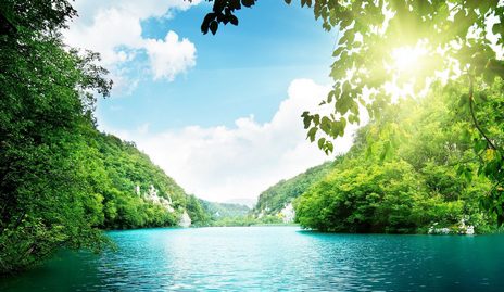 Lagoon-Green-Water-Wallpapers.jpg