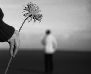 forgiveness-pic-300x246.jpg