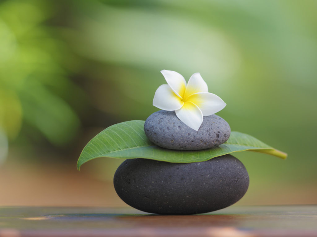 Pebble Stones and Flower in Tropical Garden