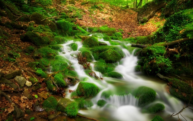 forest_river_scenery-t3