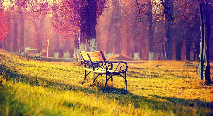 peaceful-scenery-image