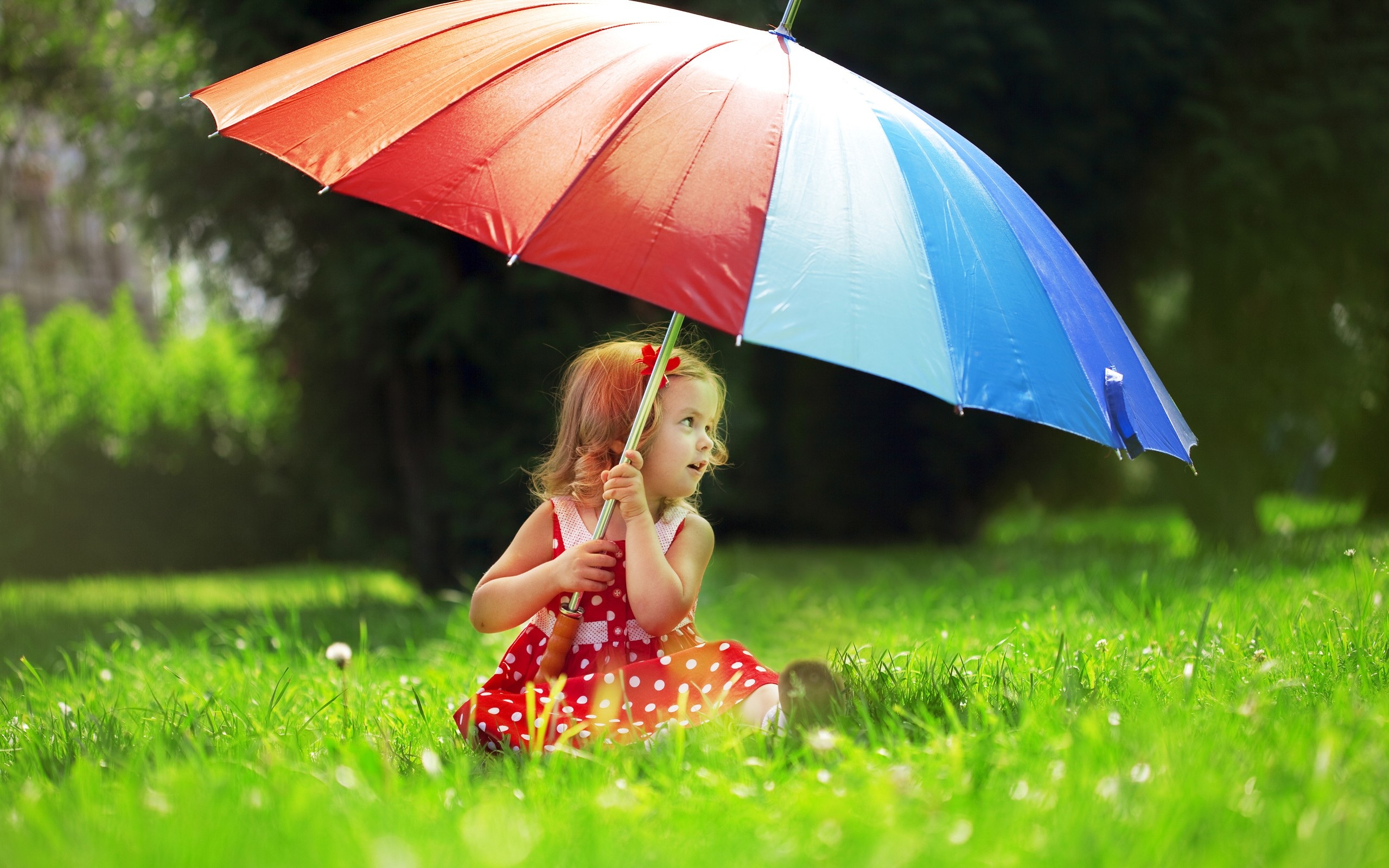 ws_small_girl_big_umbrella_2560x1600