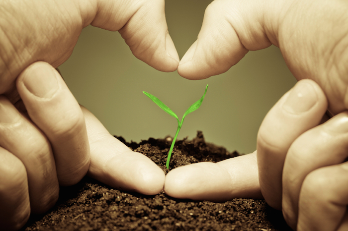 5-Ways-to-Optimize-Your-Charitable-Giving-David-DeWolf