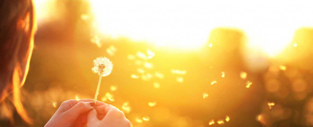 hope-and-happiness-1024x418