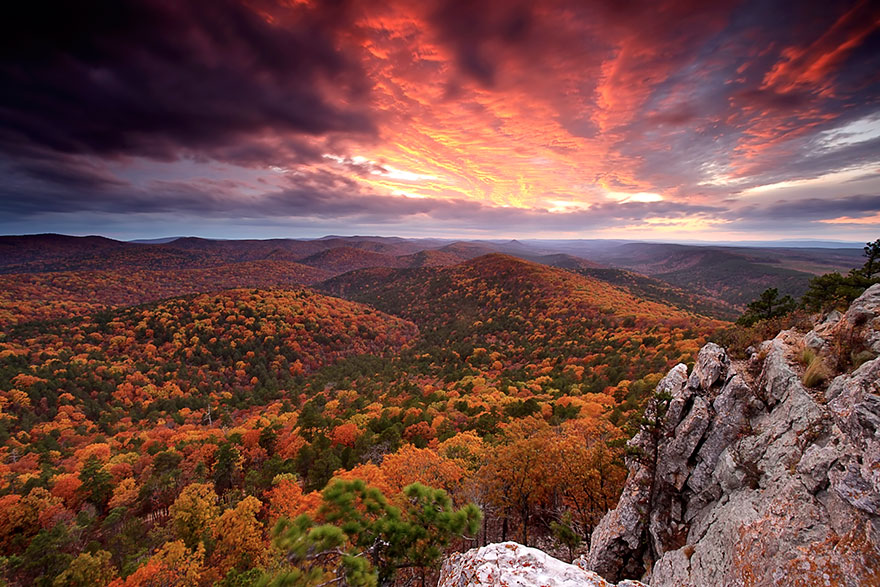 american-nature-photography-exhibit-wilderness-forever-smithsonian-24