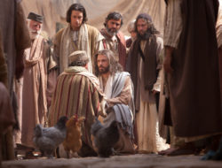 瑪 12:14-21,乙年