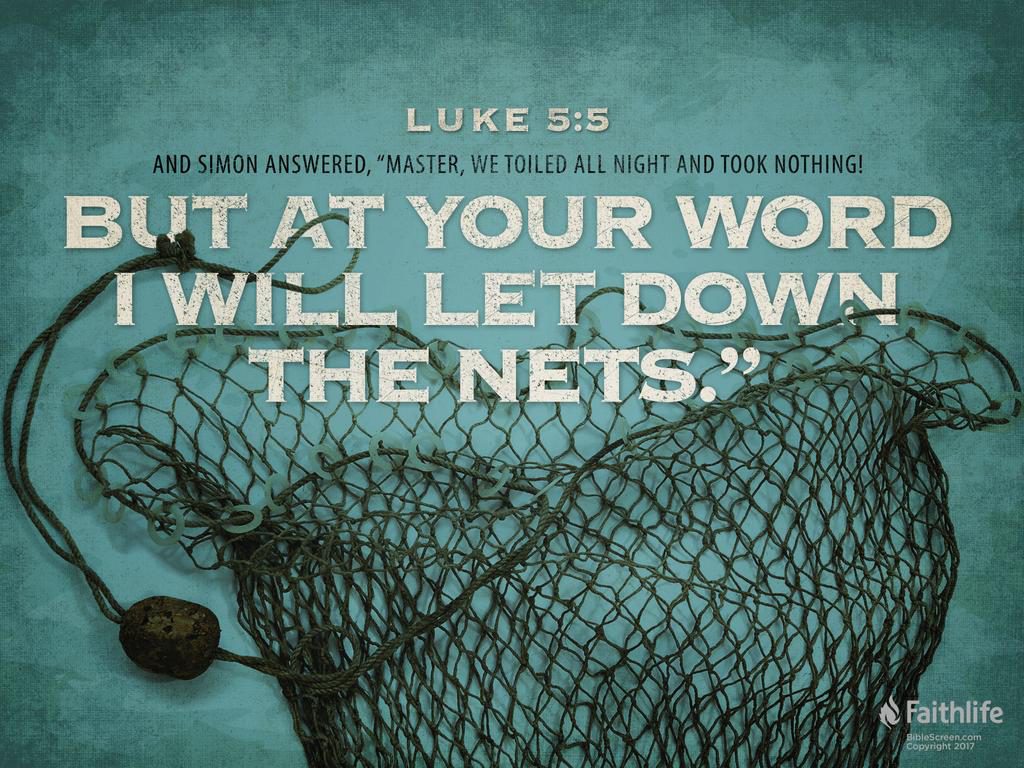 路 5:1-11,乙年