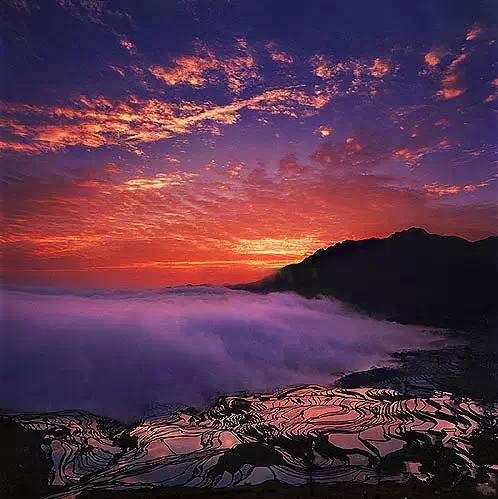 Yuanyang terraced fields.Yunnan
