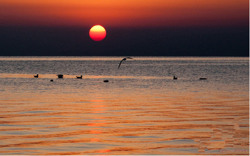 Qinghai Lake