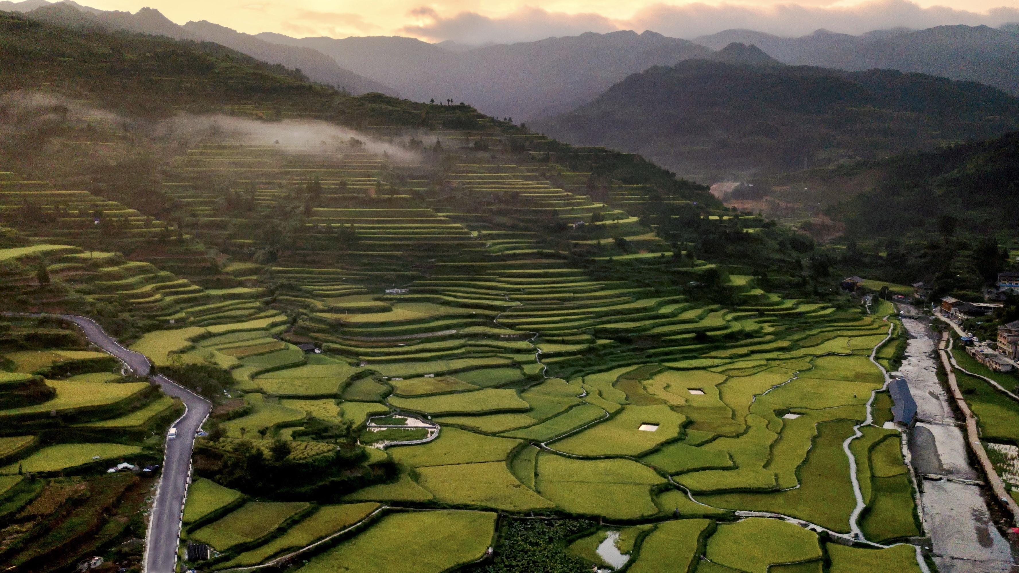 Sunrise Over the Rice Terraces of the Miao Village
