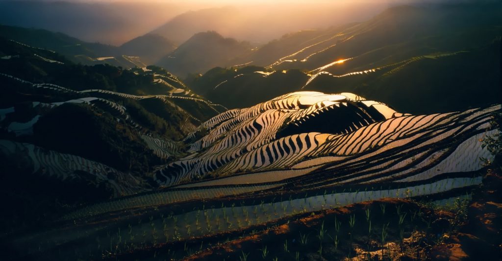 china-water-morning-sunlight
