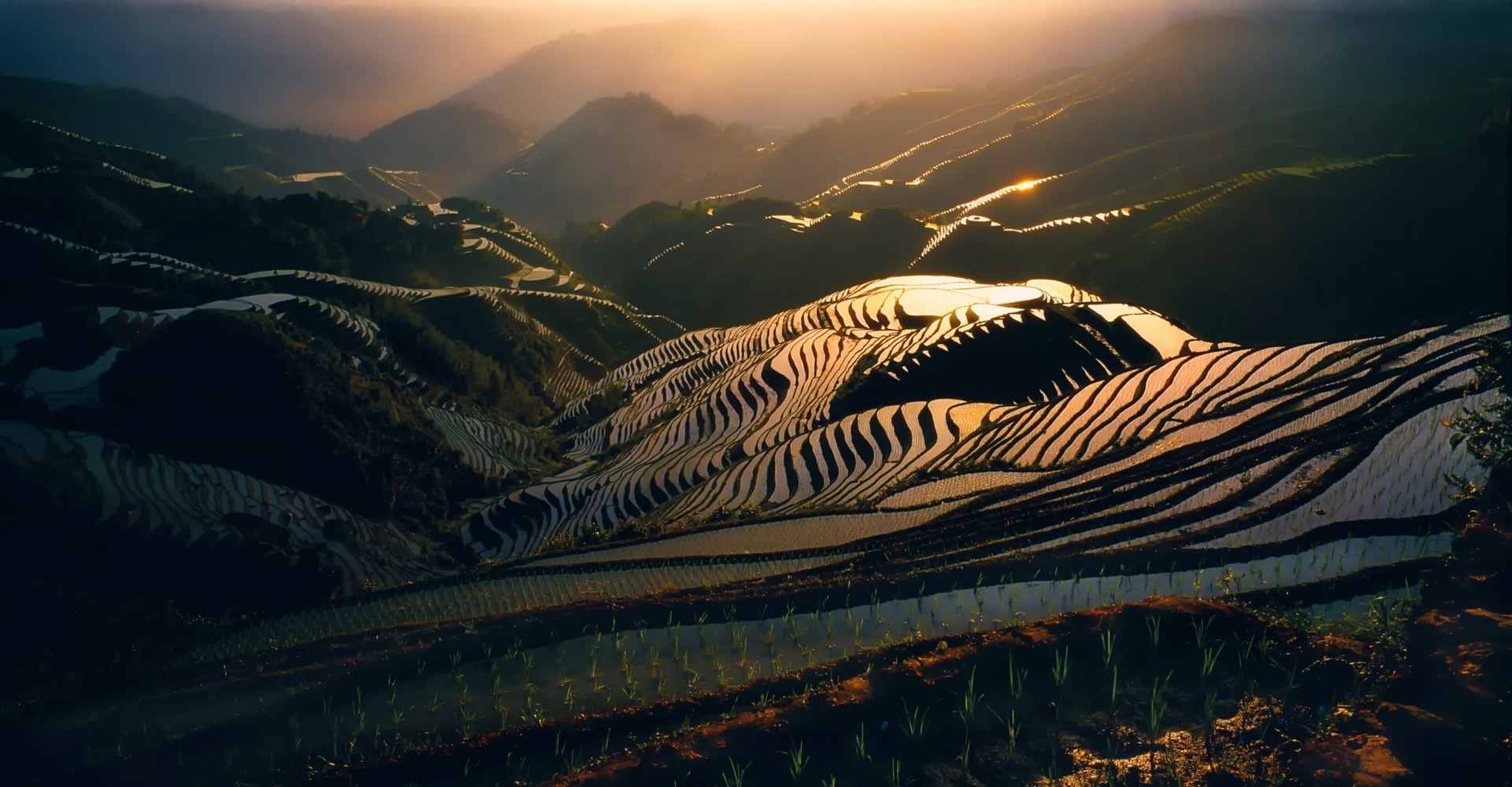 china-water-morning-sunlight