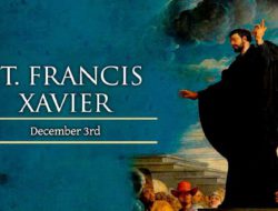 聖方濟.薩威,聖方濟.沙勿略,傳教區主保