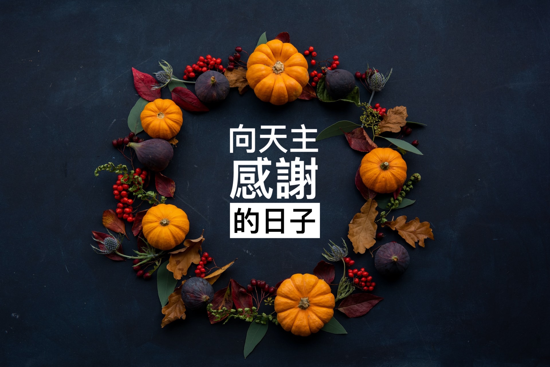 感恩節