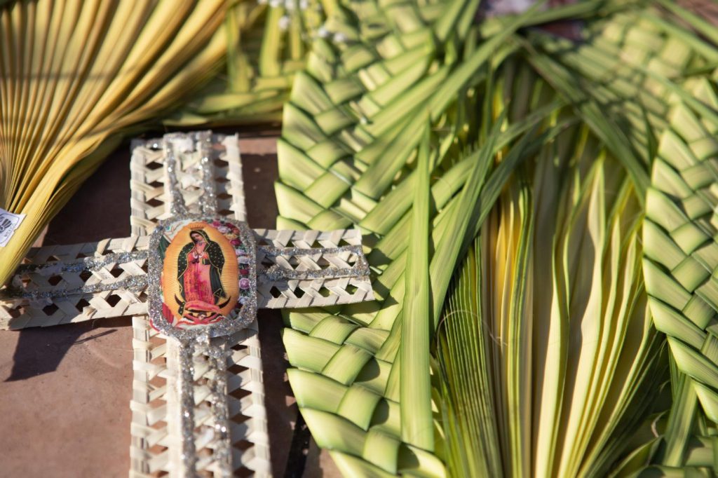 (CNS photo/James Ramos, Texas Catholic Herald) See PALMS April 2, 2020.