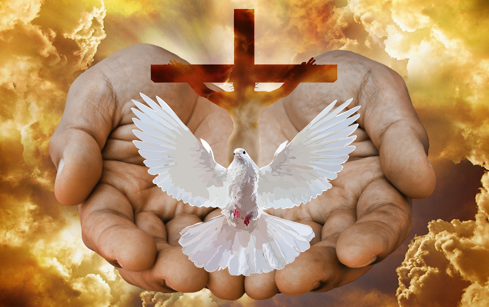dove-5450109_1920