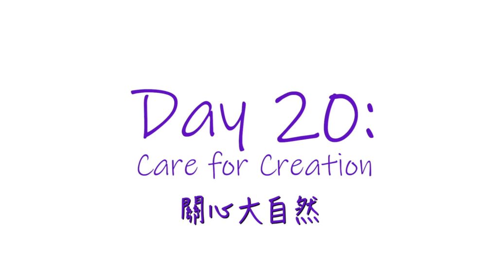 25個依納爵靈修的寶富┃第廿集《關心大自然》