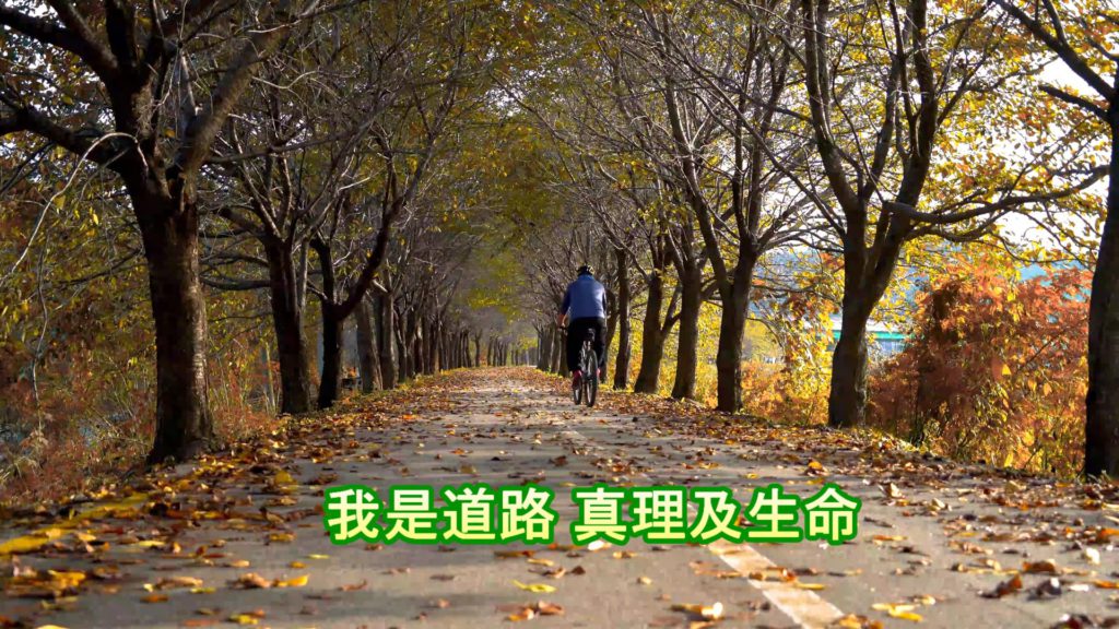 我是道路真理及生命