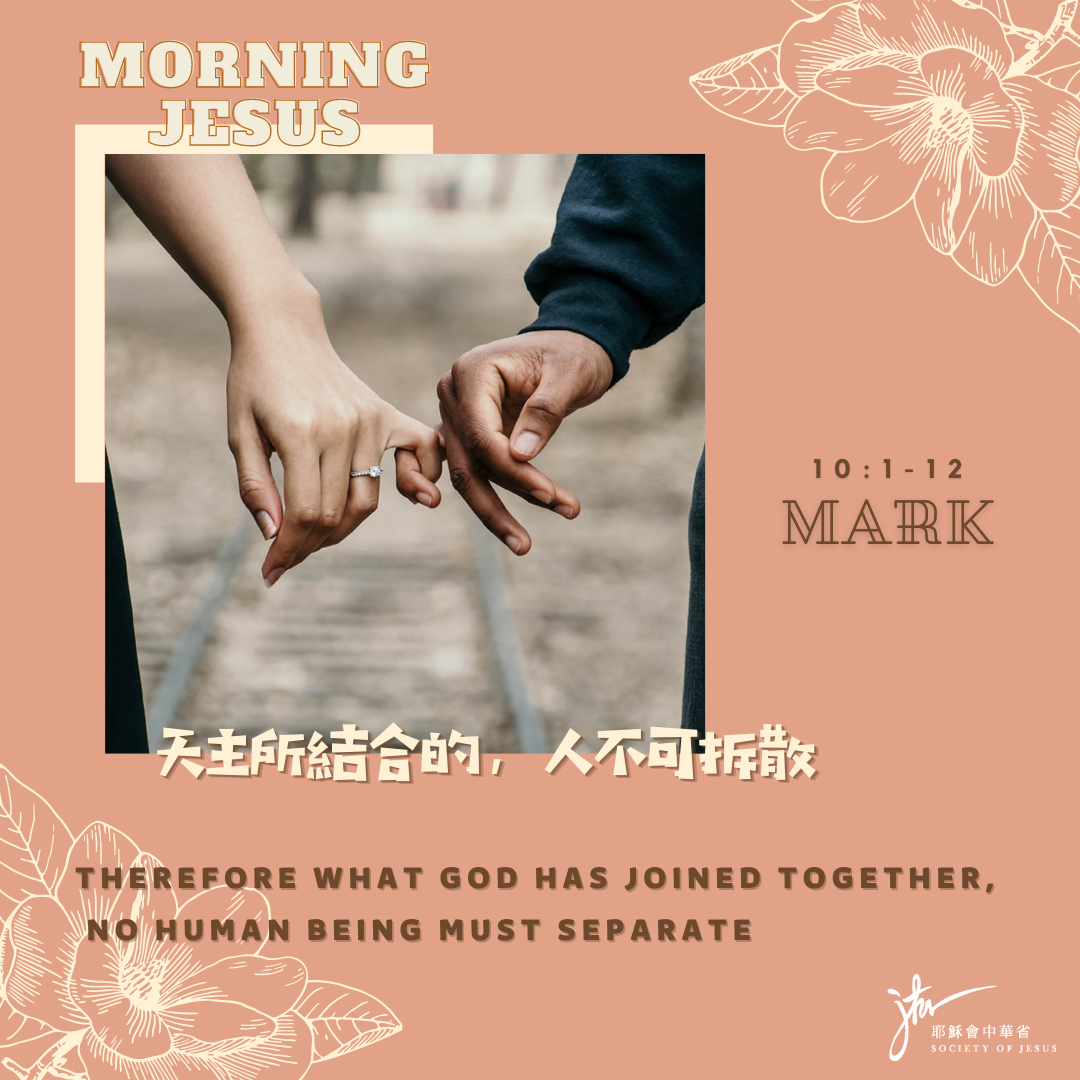 谷 10:1-12,丙年