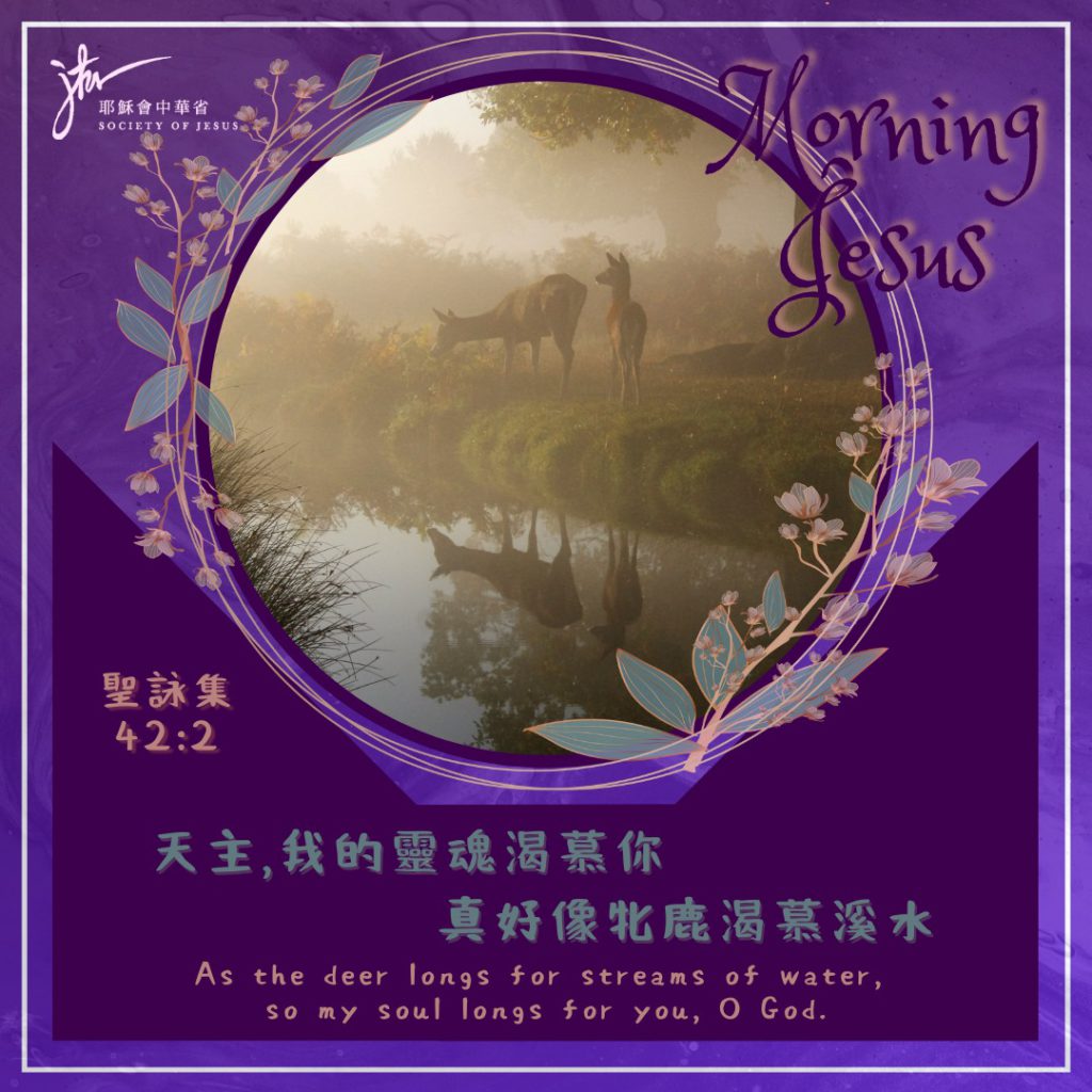 路 4:24-30,丙年