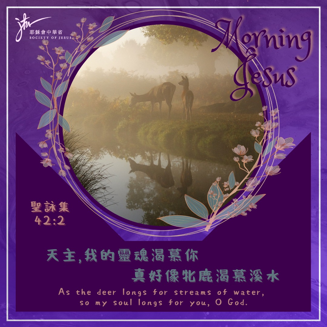 路 4:24-30,丙年