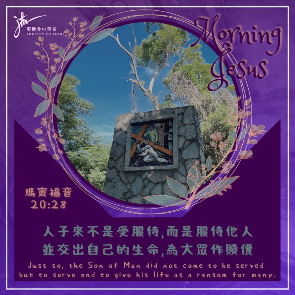 瑪 26:14-25,丙年