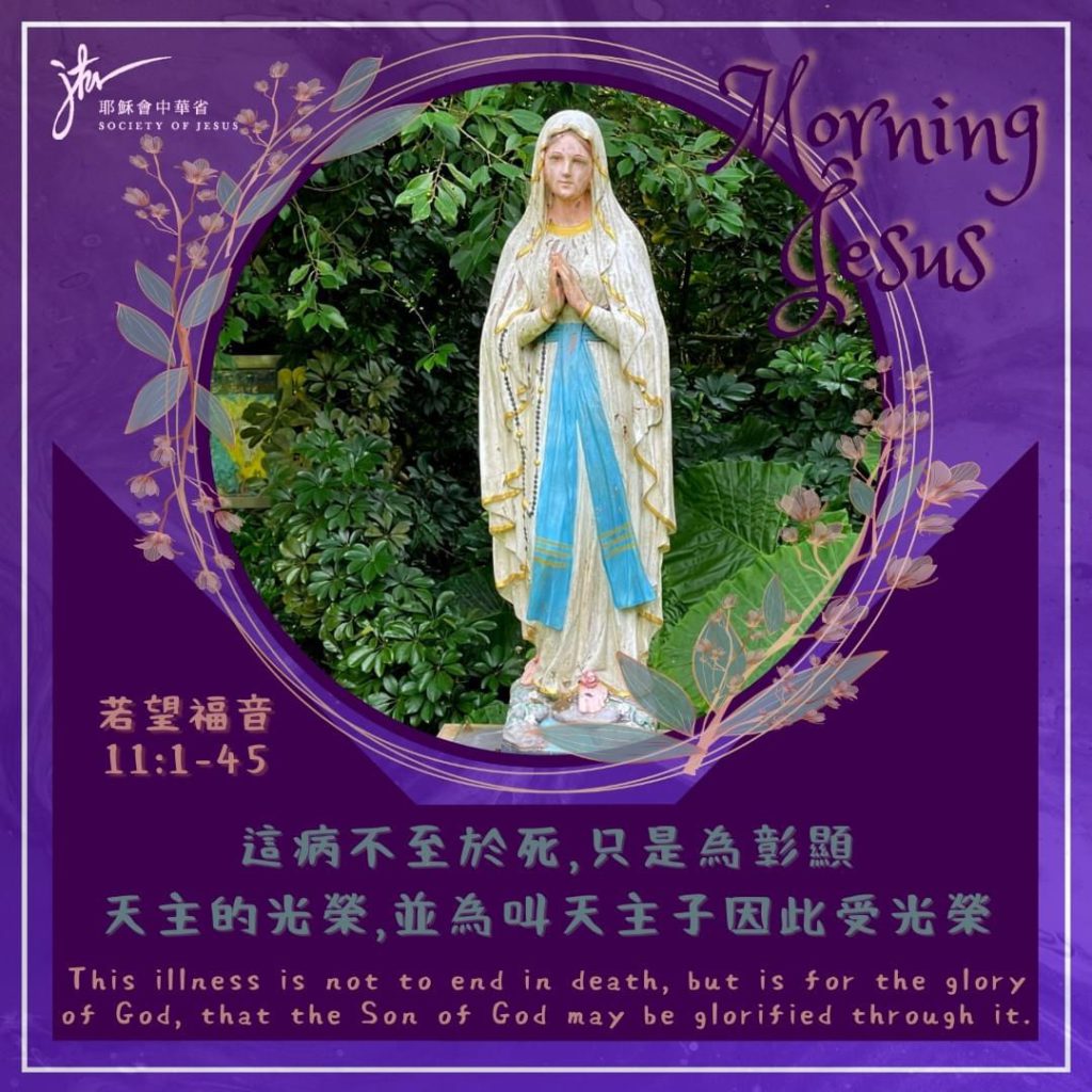 若 11:1-45,丙年