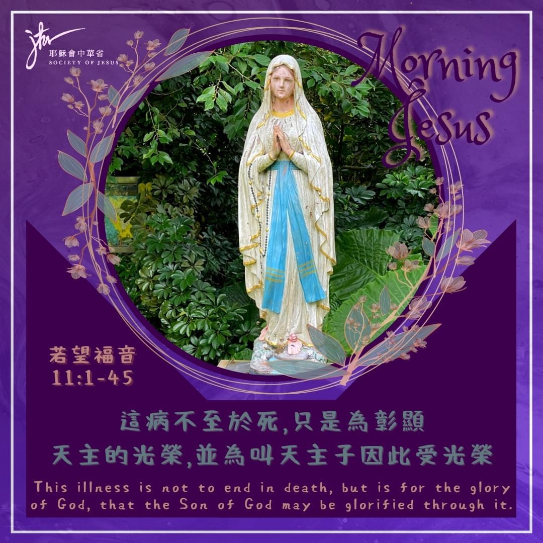 若 11:1-45,丙年