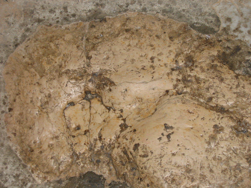 耶穌升天腳印 Jesus' footprints at the Ascension
