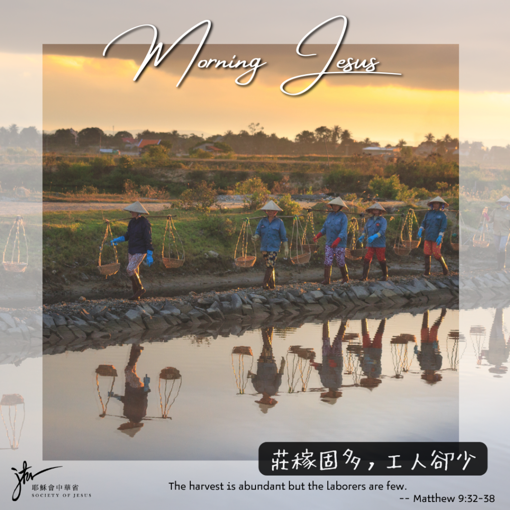 瑪 9:32-38,丙年