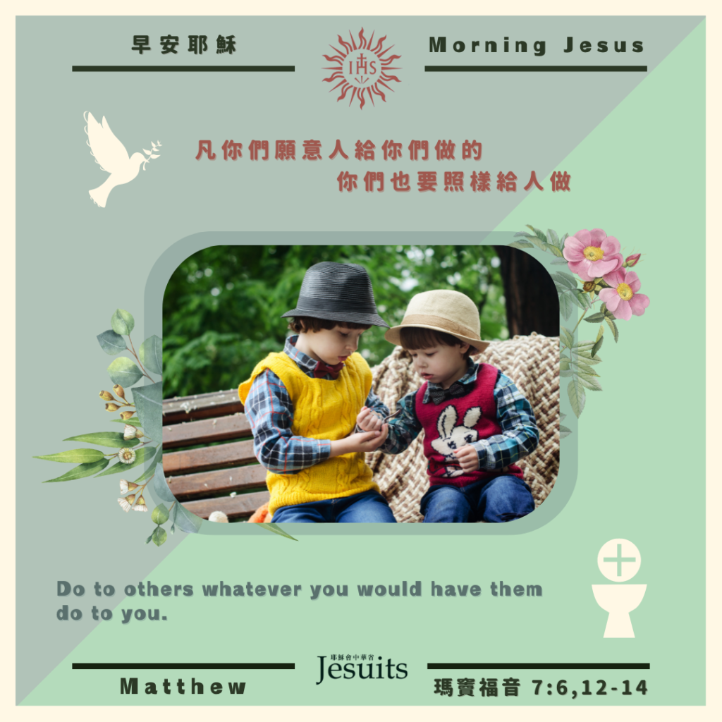 瑪 7:6,12-14,丙年