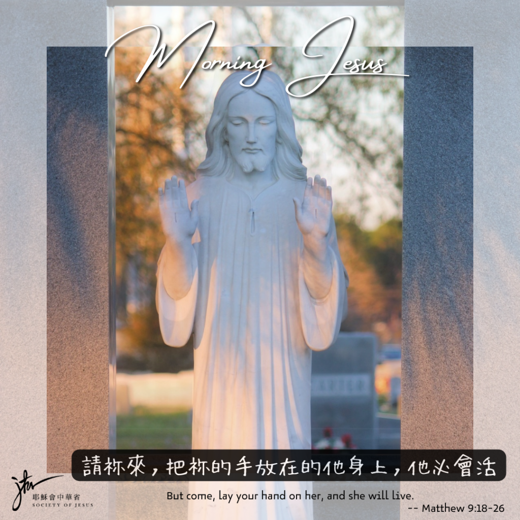 瑪 9:18-26,丙年