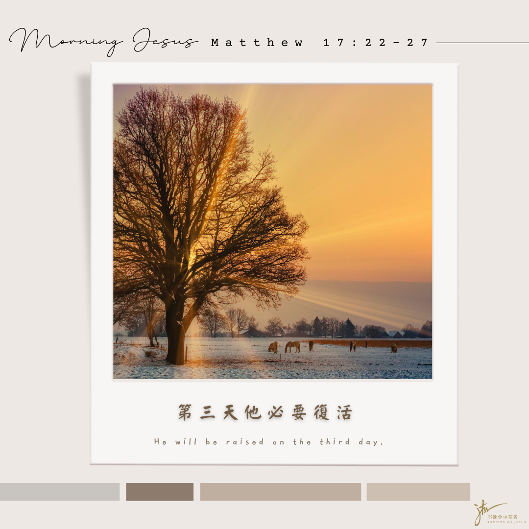 瑪 17:22-27,丙年