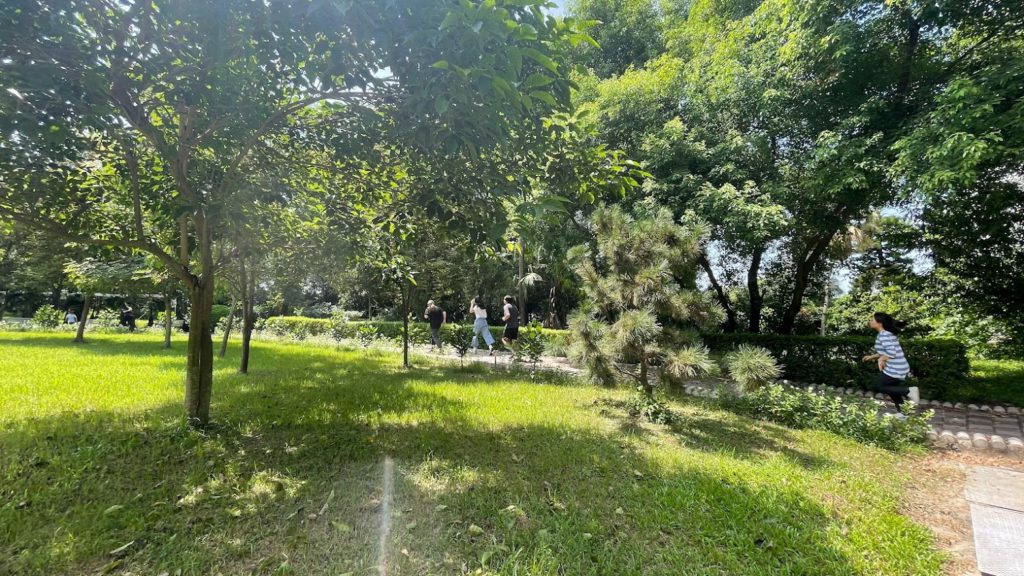 為尋找天命而跑