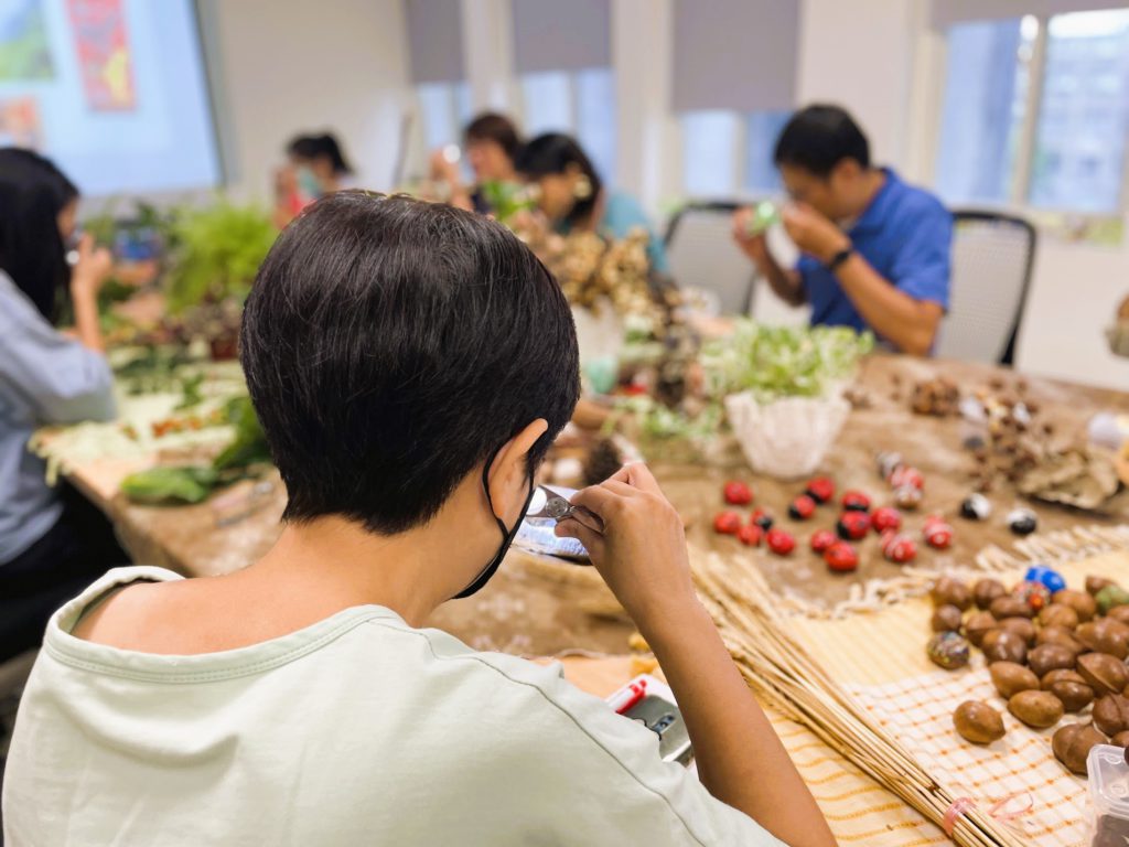 用放大镜微观植物世界