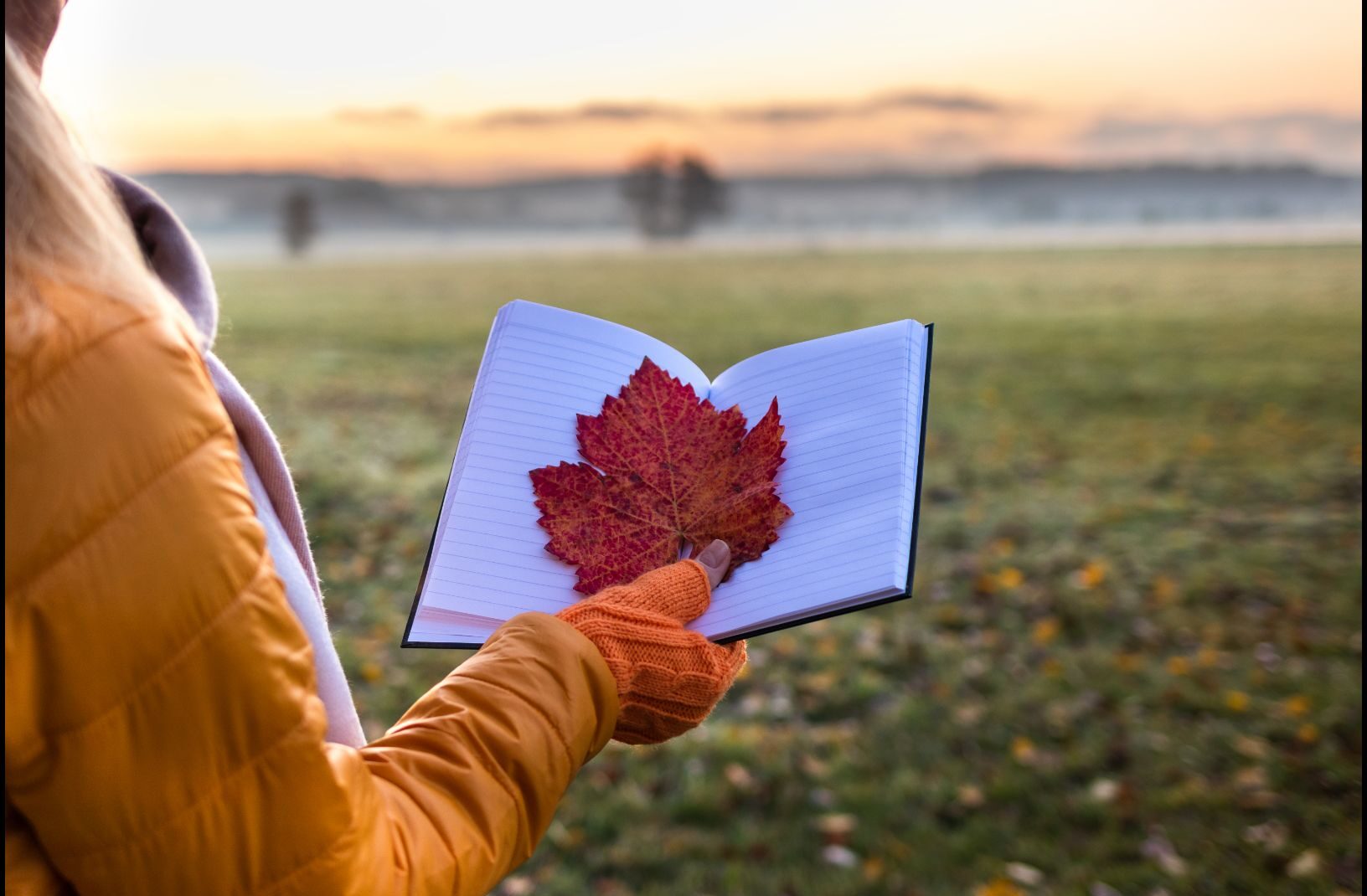 在秋天寫信給天主