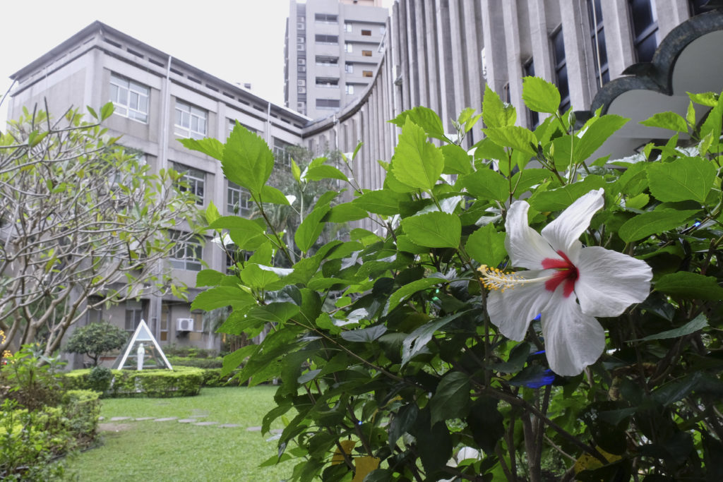 耕莘文教院內的草坪