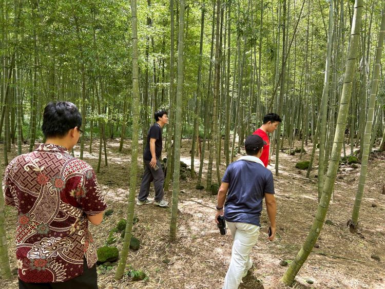 竹林间散步