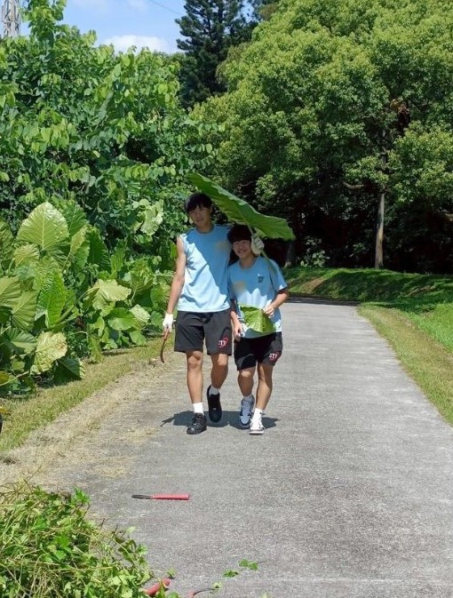 当青年遇上绿色生命力:徐汇中学简单爱一日生活体验