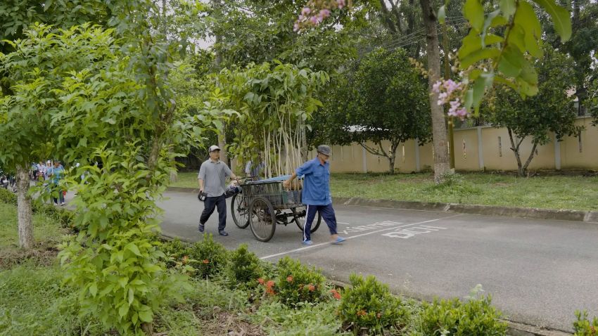 种下树，让爱茁壮：《愿祢受赞颂》十周年