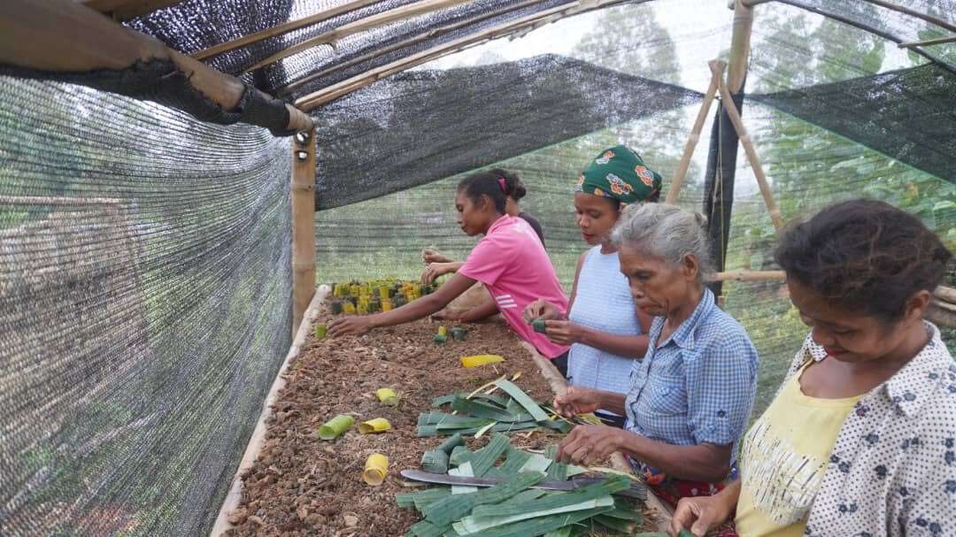希望的種子帶動東帝汶社區的改變