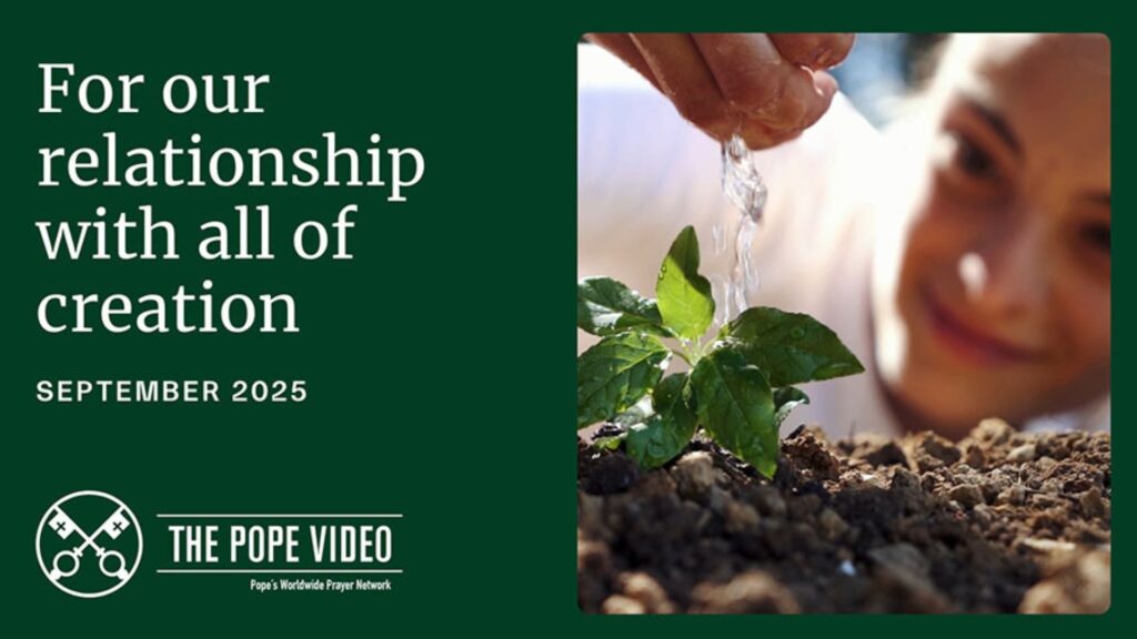 請為我們與一切受造物的關係祈禱——教宗影片