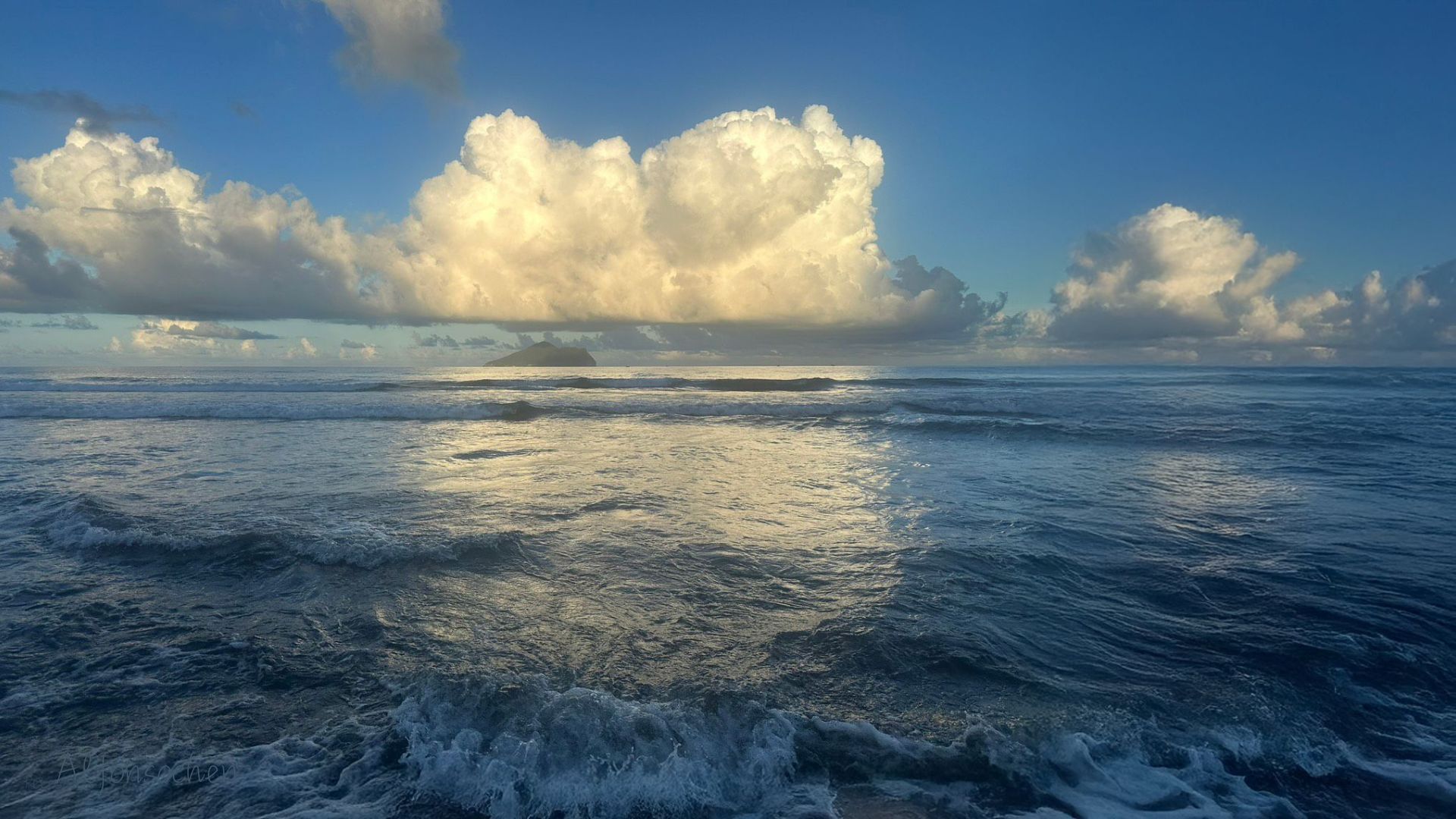 Alfonso's reflection